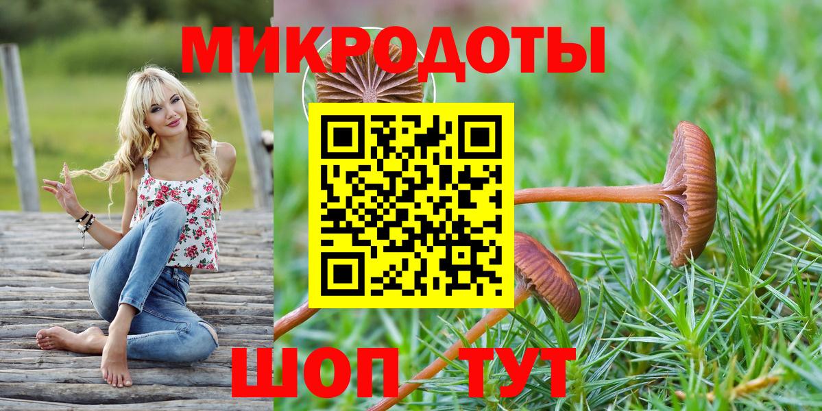 Псилоцибиновые грибы Psilocybe Баксан