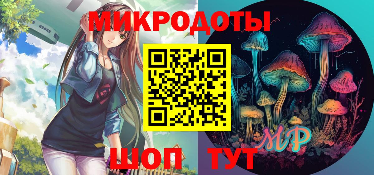 Баксан  Псилоцибиновые грибы Psilocybine cubensis  что такое наркотик  Вход с VPN 